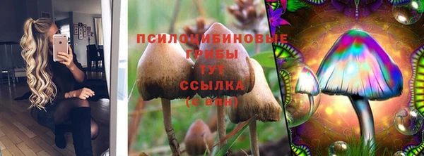 ГАЛЛЮЦИНОГЕННЫЕ ГРИБЫ Покровск