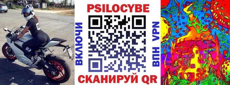 Псилоцибиновые грибы Psilocybine cubensis  Семикаракорск 